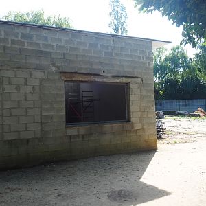 Future tiger house, 2019-08-11