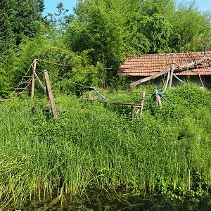 Temporarily unused lemur island, 2019-08-11