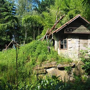 Temporarily unused lemur island, 2019-08-11