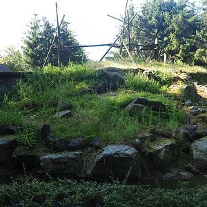 Yellow-cheeked gibbon island, 2019-08-11