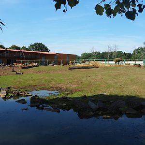 Savanna exhibit, 2019-08-11