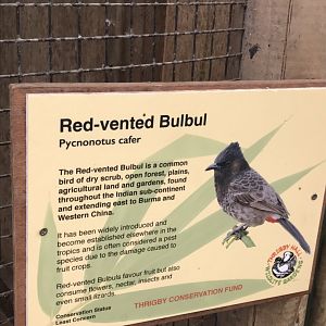 Swamp House signage example 070819