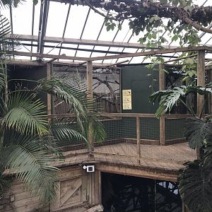 Swamp House interior 070819