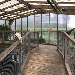 Swamp House interior 070819