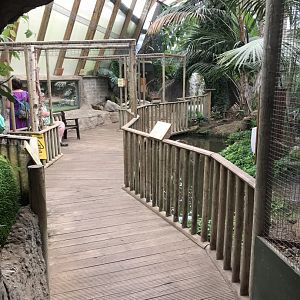 Forest House interior 070819