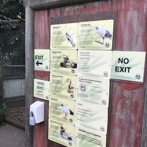 Walkthrough aviary signage 070819
