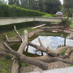 Asian small-clawed otter exhibit no.2 070819