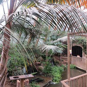 Forest House interior 070819