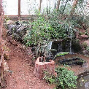 Forest House interior 070819