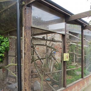 Aviaries 070819