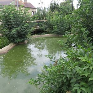 Walkthrough aviary 070819