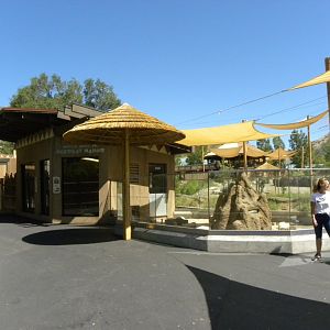 Sep. 2019 - Meerkat Manor