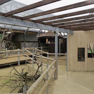 Interior of new Australia section 100819