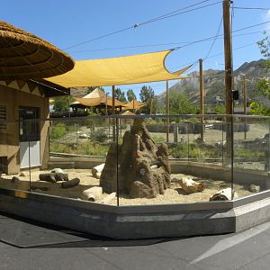 Sep. 2019 - Meerkat Manor - Outdoor Exhibit