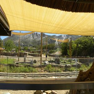 Sep. 2019 - Meerkat Manor - View of the Savannah