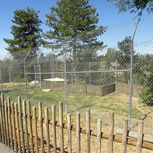 Sep. 2019 - Tortoise Exhibit