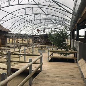 Australia House interior 100819