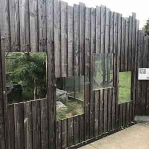 Oncilla viewing area 100819