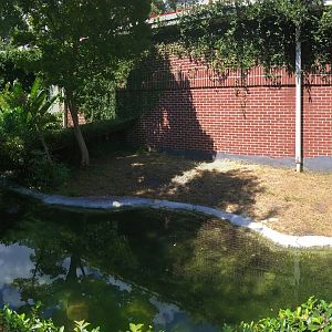 False Gharial Exhibit Right Side