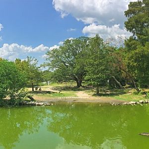 South American Pampas Exhibit