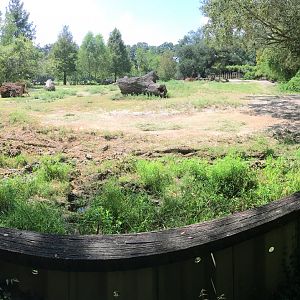 White Rhinoceros, Plains Zebra & Wildebeest Exhibit