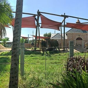 Asian Elephant Exhibit View 1