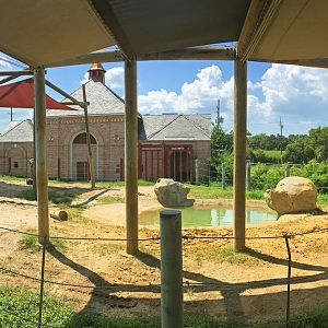 Asian Elephant Exhibit View 2