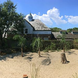 Barasingha Deer Exhibit Left Side