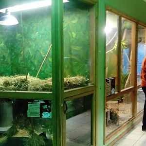 General View Of Reptile Enclosures