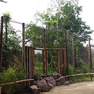 First new fossa exhibit, 2019-08-11