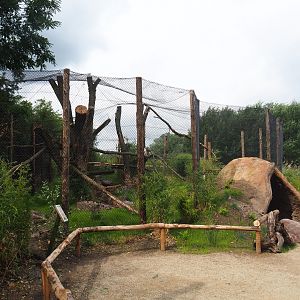 Second new fossa exhibit, 2019-08-11