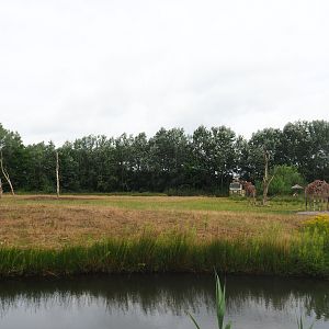 Reticulated giraffe exhibit, 2019-08-11