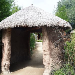 Pathway with African hut, 2019-08-11