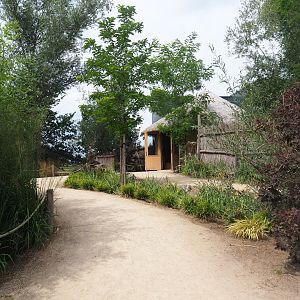 Pathway towards giraffe and guenon indoor housing and mixed aviary, 2019-08-11
