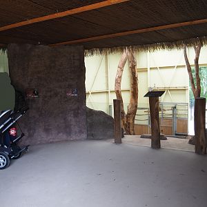 Reticulated giraffe barn and DeBrazza's guenon indoor housing viewing area, 2019-08-11