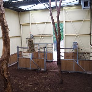 Reticulated giraffe barn, 2019-08-11