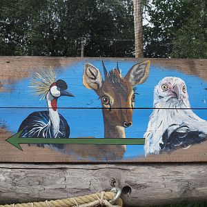 Sign pointing towards Kirk's dik-dik - Palm-nut vulture - East African grey crowned crane - Hooded vulture aviary, 2019-08-11