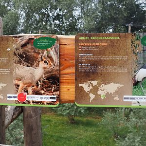 Signs Kirk's dik-dik and Grey crowned crane, 2019-08-11