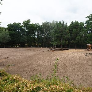 Vietnamese sika deer - Blackbuck - White-naped crane paddock, 2019-08-11