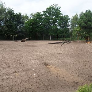 Vietnamese sika deer - Blackbuck - White-naped crane paddock, 2019-08-11