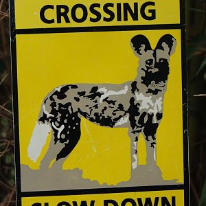Painted dogs crossing sign, 2019-08-11