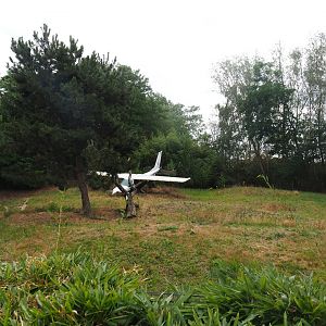 African hunting dog exhibit, 2019-08-11