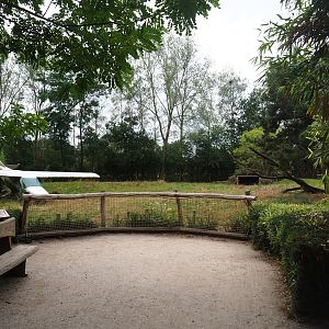 African hunting dog exhibit viewing area, 2019-08-11