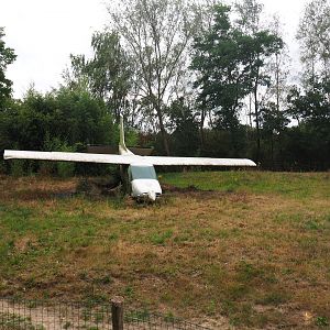 African hunting dog exhibit - With crashed airplane, 2019-08-11