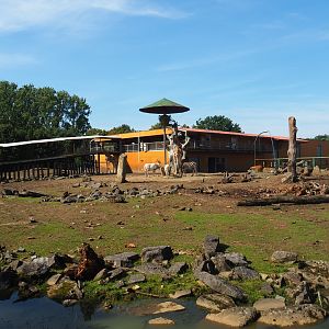 Savanna exhibit and savanna building with visitor walkway, 2019-08-04