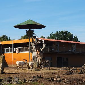 Savanna building with visitor walkway, 2019-08-04