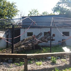 Red ruffed lemur exhibit, 2019-08-04