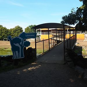 Visitor walkway over savanna exhibit towards the savanna building, 2019-08-04