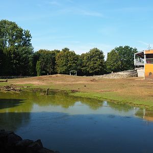 Savanna exhibit, 2019-08-04
