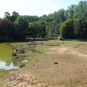 Savanna exhibit, 2019-08-04